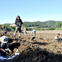 Al via la terza campagna di ricognizione archeologica di superficie a Bisenzio